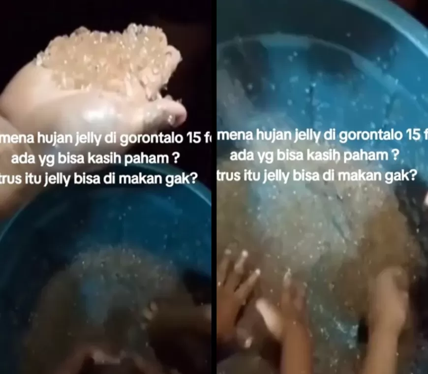 Warga Gorontalo Dibuat Heboh dengan Fenomena Hujan Jelly