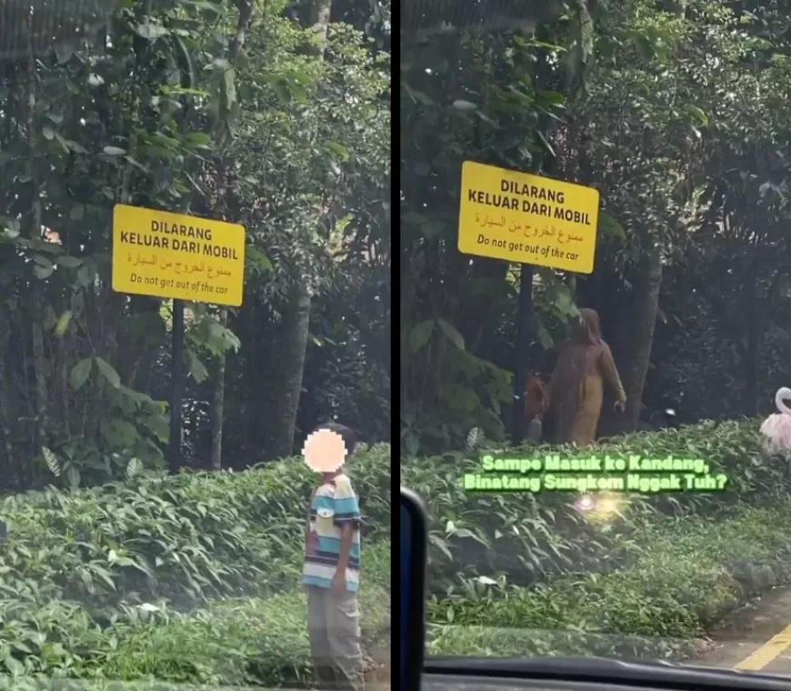 Viral Pengunjung Turun dari Mobil dan Keluyuran di Area Satwa, Pihak Taman Safari: Mereka Dilarang Masuk Lagi!